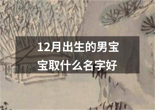 12月出生的男宝宝取什么名字好