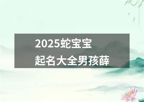 2025蛇宝宝起名大全男孩薛