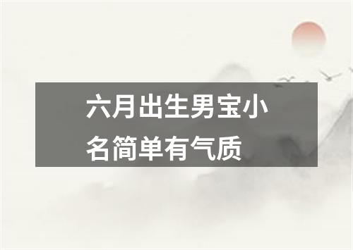 六月出生男宝小名简单有气质