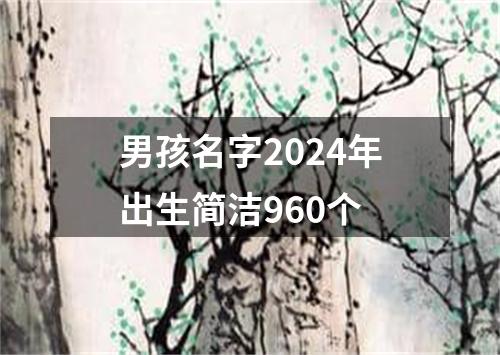 男孩名字2024年出生简洁960个