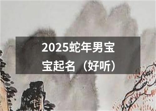 2025蛇年男宝宝起名（好听）