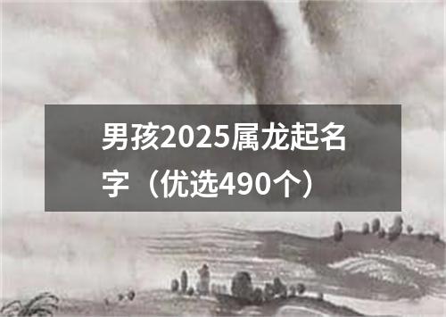 男孩2025属龙起名字（优选490个）