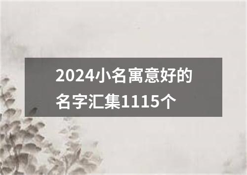 2024小名寓意好的名字汇集1115个