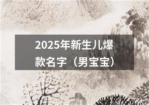 2025年新生儿爆款名字（男宝宝）