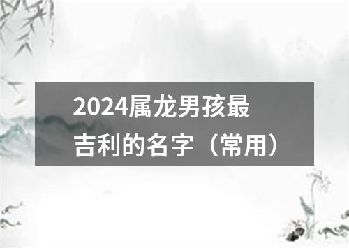 2024属龙男孩最吉利的名字（常用）