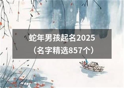 蛇年男孩起名2025（名字精选857个）