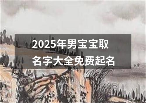 2025年男宝宝取名字大全免费起名