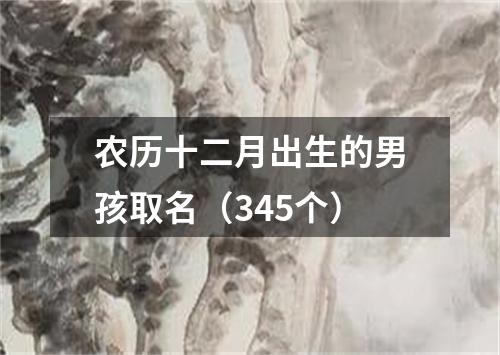 农历十二月出生的男孩取名（345个）