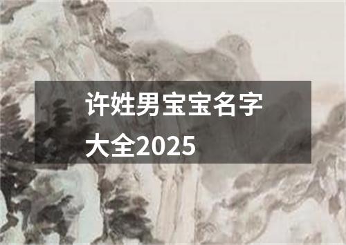 许姓男宝宝名字大全2025