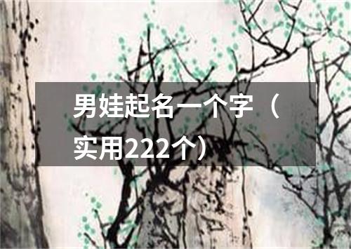 男娃起名一个字（实用222个）