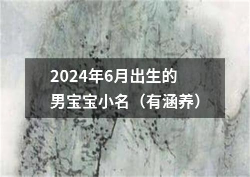 2024年6月出生的男宝宝小名（有涵养）