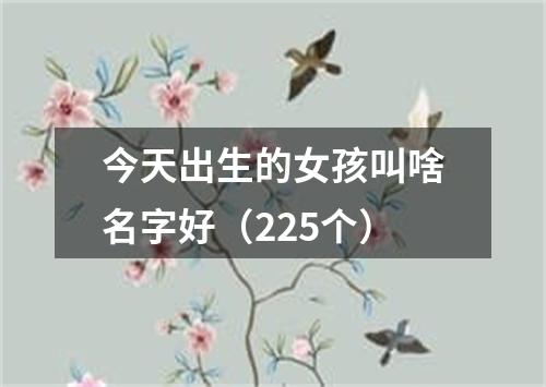 今天出生的女孩叫啥名字好（225个）