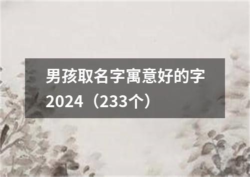 男孩取名字寓意好的字2024（233个）