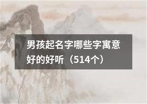 男孩起名字哪些字寓意好的好听（514个）