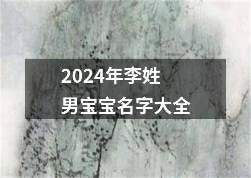 2024年李姓男宝宝名字大全