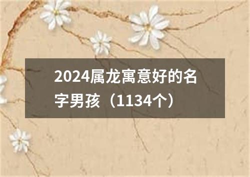 2024属龙寓意好的名字男孩（1134个）