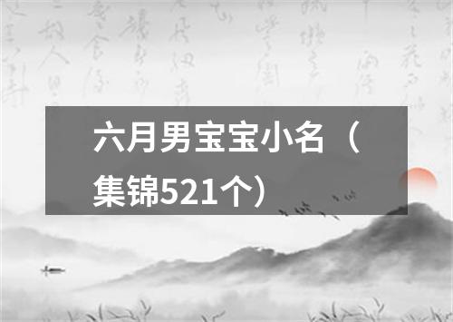 六月男宝宝小名（集锦521个）