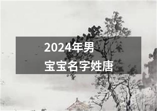 2024年男宝宝名字姓唐