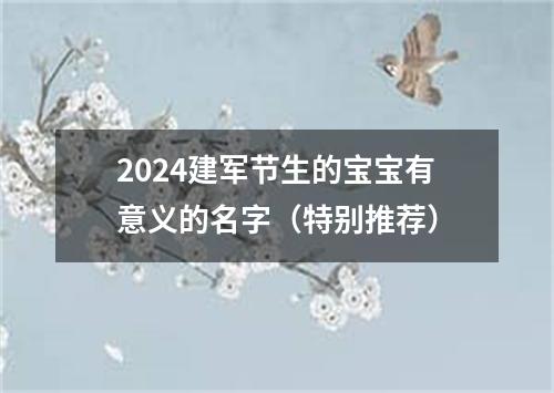 2024建军节生的宝宝有意义的名字（特别推荐）