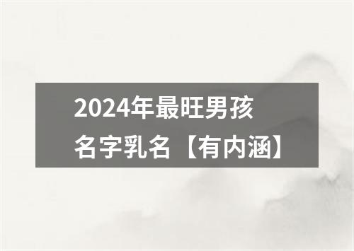 2024年最旺男孩名字乳名【有内涵】