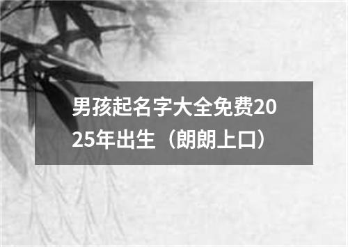 男孩起名字大全免费2025年出生（朗朗上口）