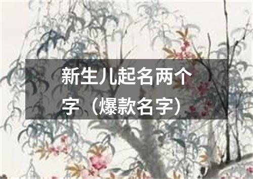 新生儿起名两个字（爆款名字）