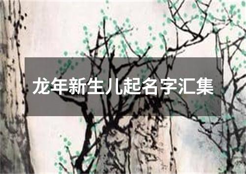 龙年新生儿起名字汇集