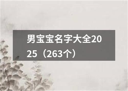 男宝宝名字大全2025（263个）