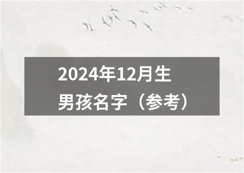 2024年12月生男孩名字（参考）