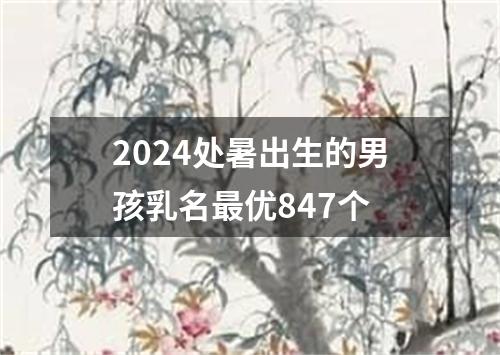 2024处暑出生的男孩乳名最优847个