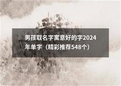 男孩取名字寓意好的字2024年单字（精彩推荐548个）