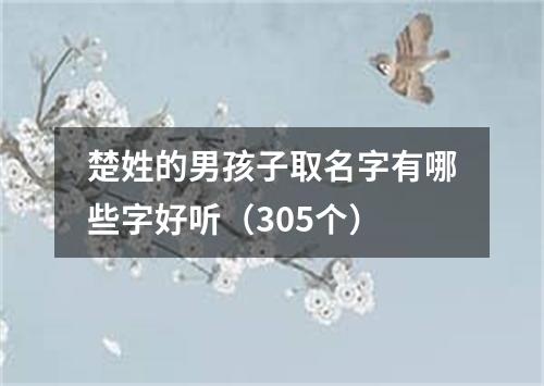 楚姓的男孩子取名字有哪些字好听（305个）