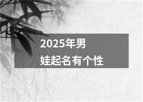 2025年男娃起名有个性