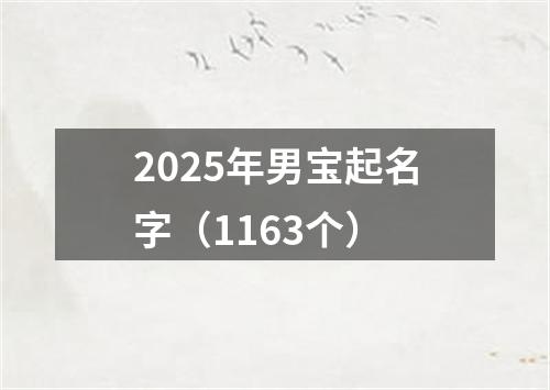 2025年男宝起名字（1163个）