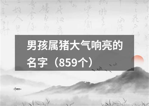 男孩属猪大气响亮的名字（859个）