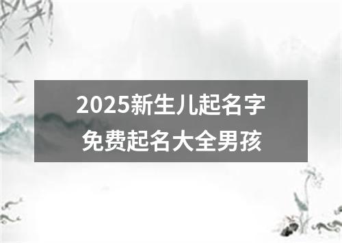 2025新生儿起名字 免费起名大全男孩