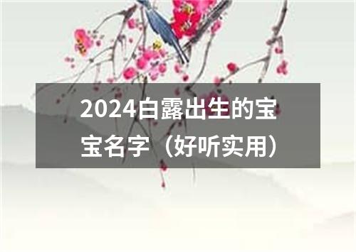 2024白露出生的宝宝名字（好听实用）