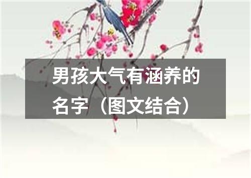 男孩大气有涵养的名字（图文结合）