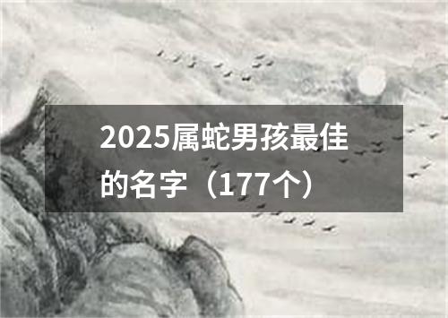 2025属蛇男孩最佳的名字（177个）