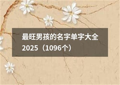 最旺男孩的名字单字大全2025（1096个）