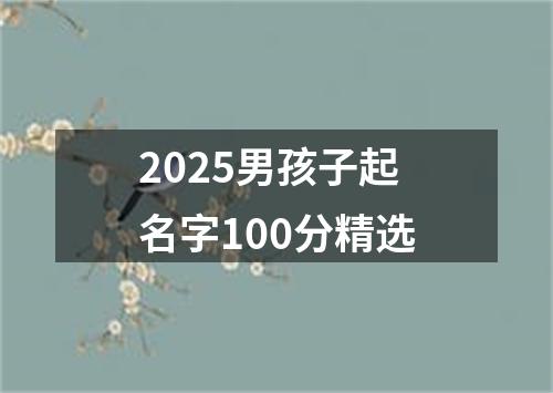 2025男孩子起名字100分精选