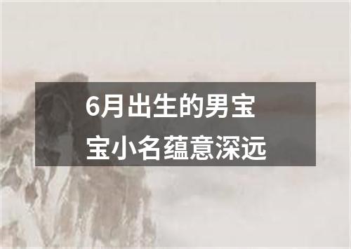 6月出生的男宝宝小名蕴意深远