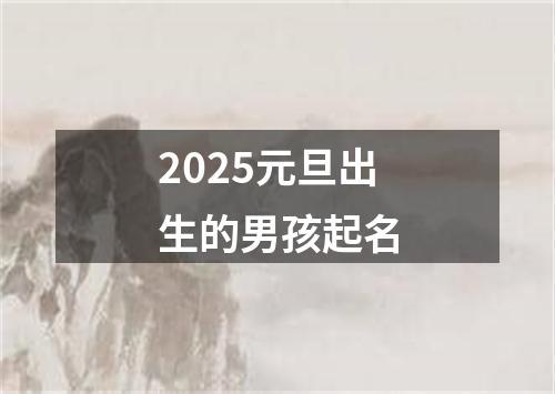 2025元旦出生的男孩起名