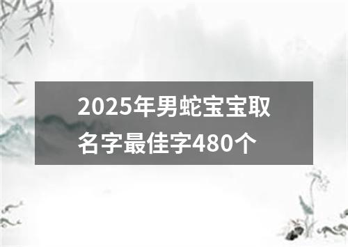 2025年男蛇宝宝取名字最佳字480个