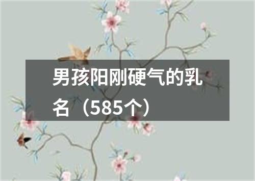 男孩阳刚硬气的乳名（585个）