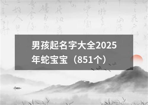 男孩起名字大全2025年蛇宝宝（851个）