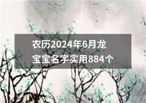 农历2024年6月龙宝宝名字实用884个