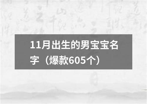 11月出生的男宝宝名字（爆款605个）