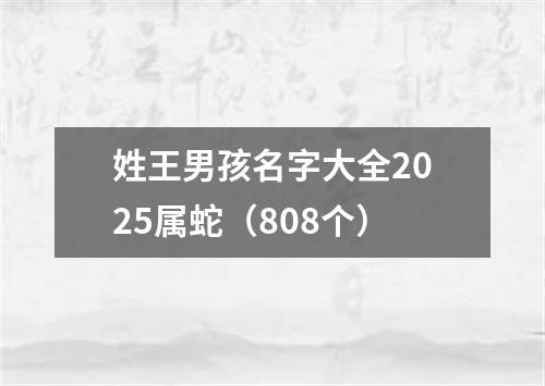 姓王男孩名字大全2025属蛇（808个）