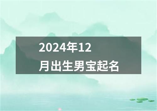 2024年12月出生男宝起名